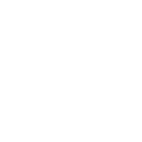 Unity Icon